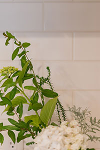 植物と暮らす、淡いグレーの家「スナオなデザイン、正直な家づくり」安田工務店